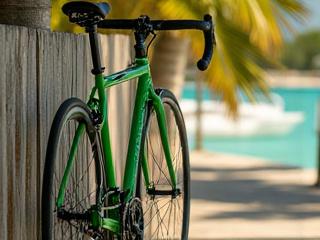 A beautifully crafted lugged road bike in a vibrant color, leaning against a tropical Key West backdrop.
